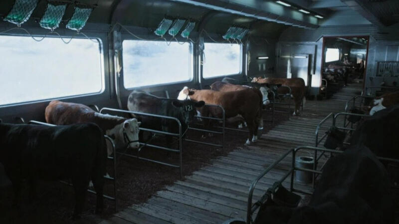 Cattle Car